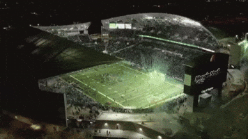 Stadium GIF