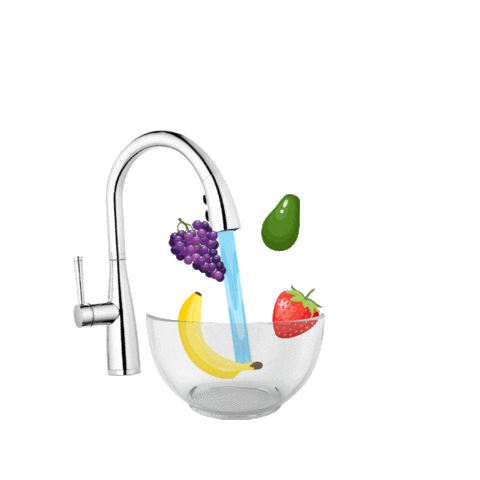 Pfister Latam Sticker