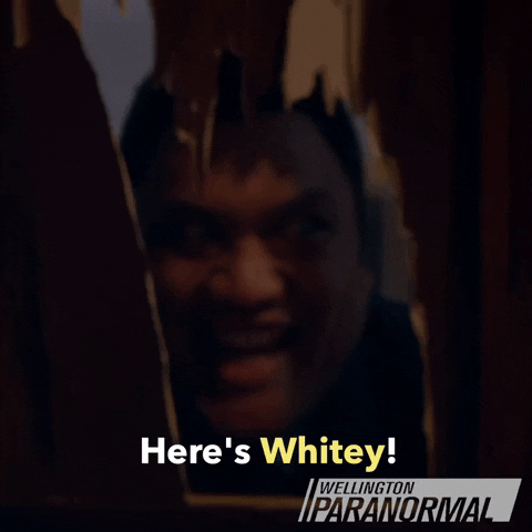 The Shining Heres Johnny GIF by Wellington Paranormal