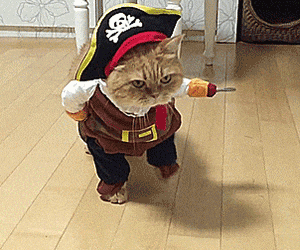 giphy.gif?cid=82a1493bhhbhvtp17gol9r4wuubdilksdtaucknxoufwnufg&rid=giphy.gif