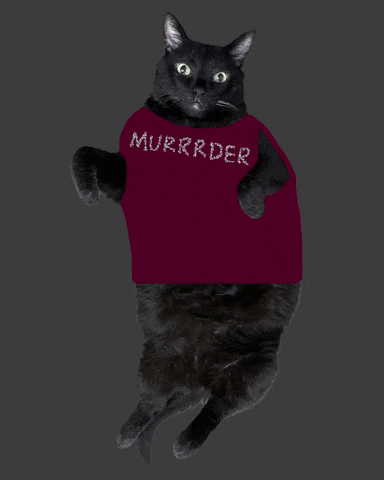 Black Cat Traitors GIF