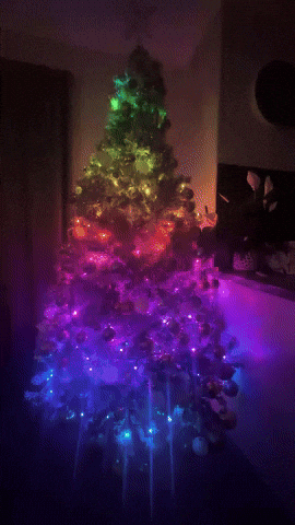 Christmas Tree GIF by NZ Collab