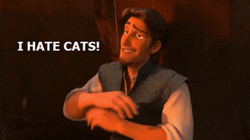 Dont Tangled Movie GIF