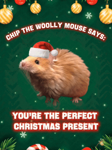 Merry Christmas GIF by Colossal