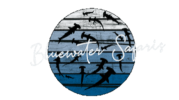 Bluewatersafaris Sticker