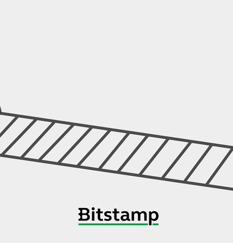 Bitcoin Crypto GIF by Bitstamp