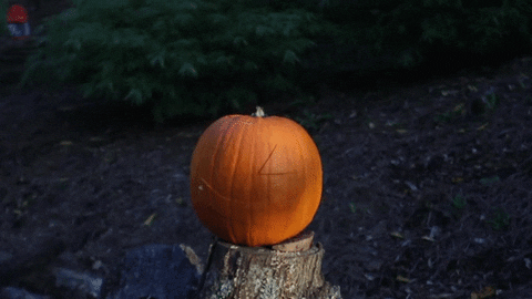 giphy.gif