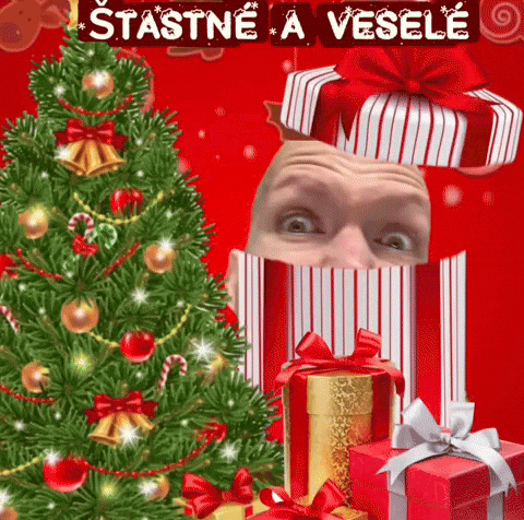 Marry Merry Christmas GIF