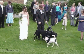 Wedding Fails 20 Hilarious Gifs you need to see 18 Wedding Fails 20 hilarious gifs you need to see