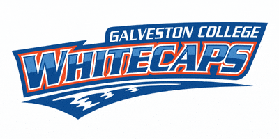 Baseball Softball GIF by Galveston College