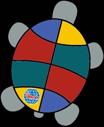 Porto Mari Sports GIF