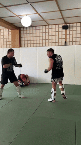 Wrestling Mma GIF