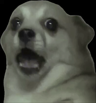 Dog GIF