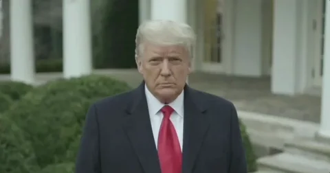 Donald Trump GIF
