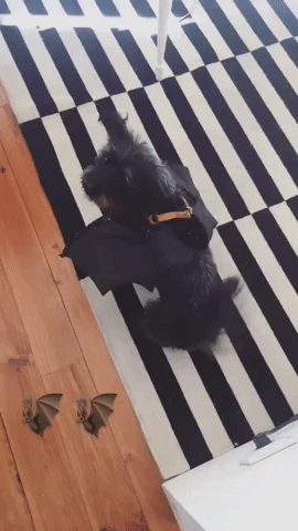 GIF by Legendary People + Ideas