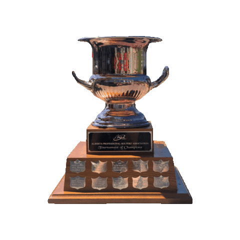 Chgc Sticker by CountryHillsGolf