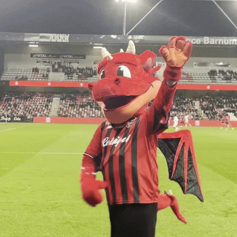 Football Dragon GIF