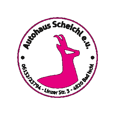 Pink Austria Sticker by Autohaus Scheichl