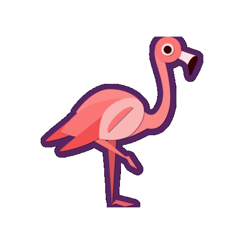Animated Sticker