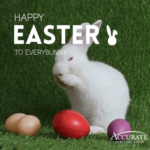 Easter Bunny GIF by Accurate Mortgage Group
