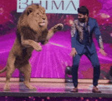 Dance King GIF