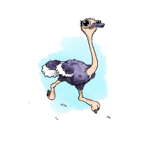 Agreenster run bird ostrich derpy GIF