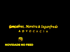 Paula Seganfredo Advogada GIF