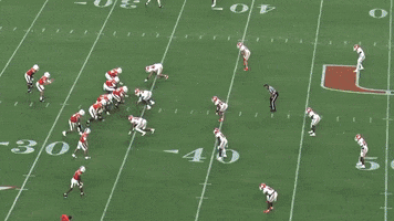 Nfl Draft GIF