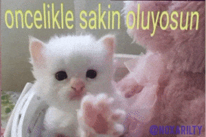 Sakin GIF