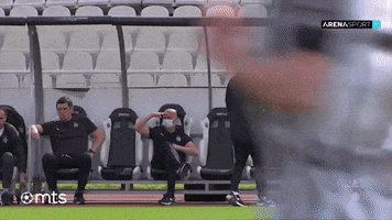 Bes Fkpartizan GIF by sportmts