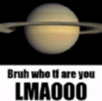 Bro No GIF