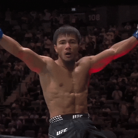 Ufc Uzbekistan GIF