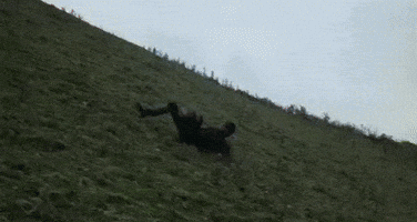 Fantasy GIF