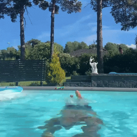 Armenian GIF by Gibo Hopar