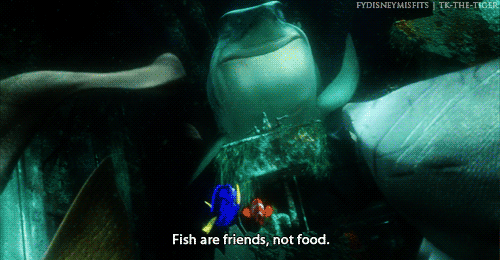 Remember fish our friends not food