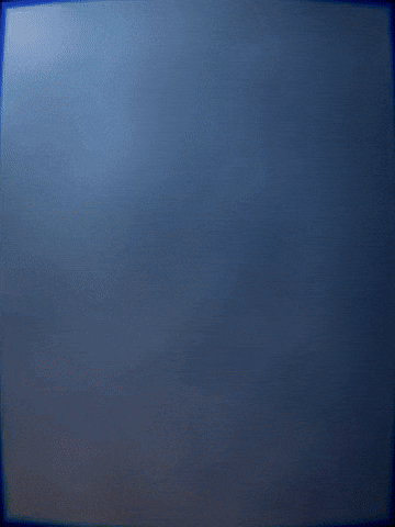 Suspicious Cat GIF