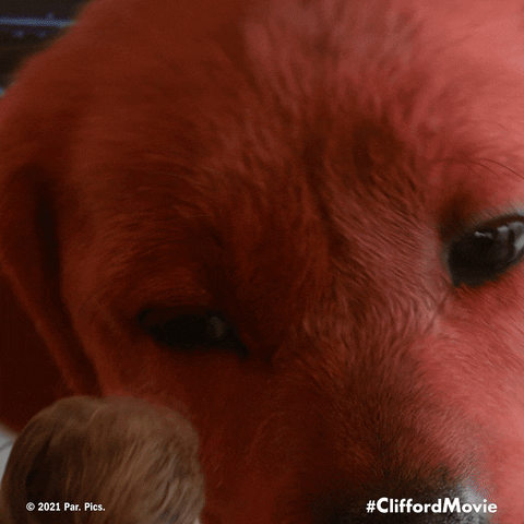 Dog GIF by Clifford Movie