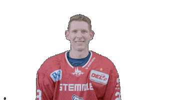 Hockey Family Sticker by Eisbären Regensburg