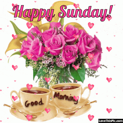 Digital illustration gif. Bouquet of pink roses behind two mugs of hot coffee or chocolate. One mug reads, "Good" and the other mug reads "Morning." Pink hearts float around with text that reads, "Happy Sunday!'