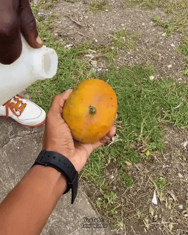 Street Food Wow GIF
