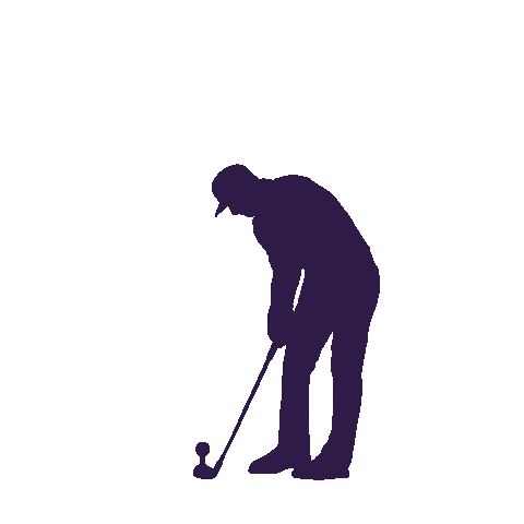 Pga Tour Golf Sticker by Truist