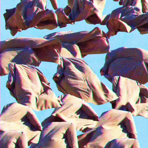Wind Flying GIF