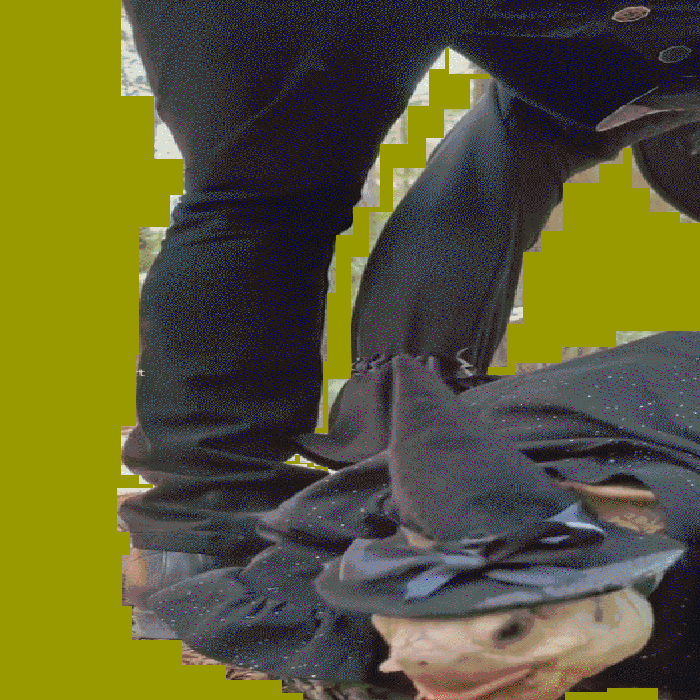 GIF by Lorna Mills