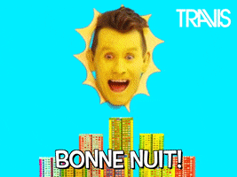 French Francais GIF by Travis