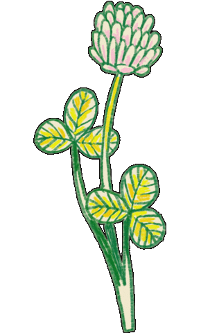 Pix Sticker by pixdessine