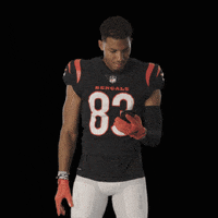 200.gif?cid=fc005b0867b498fd64bb41278369f06ff261197b1b2aa60b&rid=200.gif&ct=g