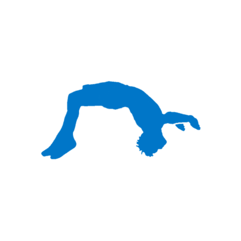 Mens Gymnastics Sticker by Turn Gymnastics Apparel