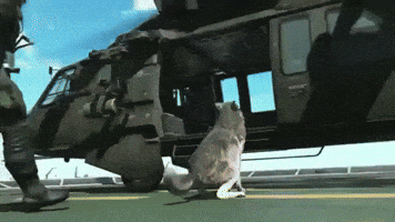 Metal Gear Mgs V GIF