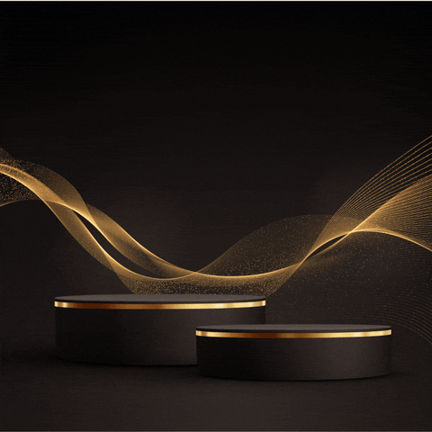 Retail Jewellery Business GIF