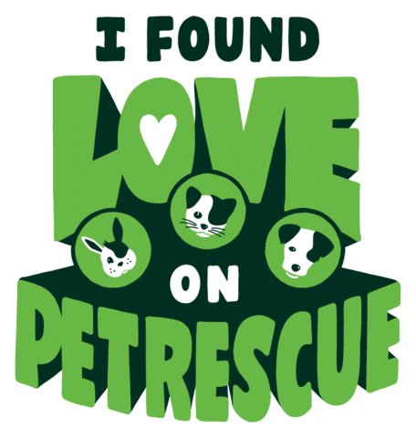 I Found Love Adopt Dont Shop GIF by PetRescue